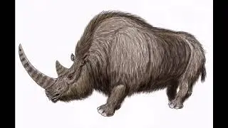 Sound Effects - Woolly Rhinoceros (remade)