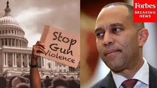 House Democrats Call For Universal Background Checks: 'Life Saving Measures'
