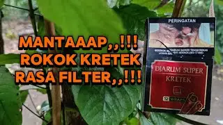 Review Rokok Djarum Super Kretek || Rokok Krerek || #djarumkudus 