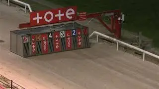 Lifford Greyhounds - Saturday 4th october 2025