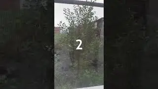 6 августа 2024 г.