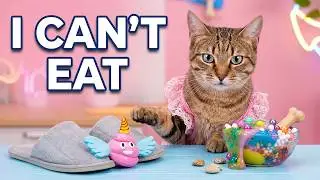 🐾Hilarious Cat Reactions to Viral TikTok Trends Unleashed By Meow-some! Live