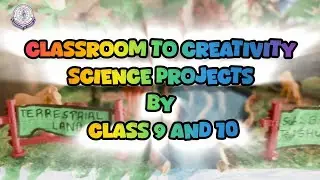 Classroom to creativity Science Projects by Grade 9 and 10 students.