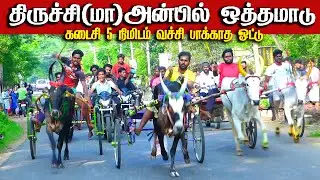 திருச்சி மாவட்டம் அன்பில் ஒத்தமாடு பிரிவு -1- 13.12.2025