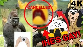 Mokey's show - 427 - Crocodile (YTP)