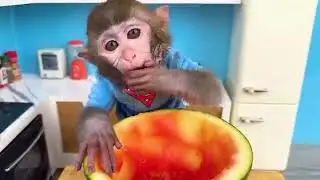 monkey baby cartoon