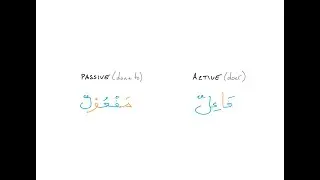 19. Active & Passive Particles
