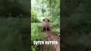 Elefant sagt guten Rutsch und Rutscht mit  !!!-2/2 Comedy 😆🤣😅