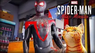 How To Save Spidey-Cat | Returning Spider-Man (Cat) to Teo | Spider-Man: Miles Morales