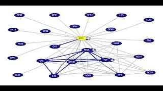 gene interaction