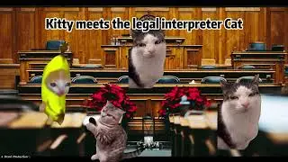 Legal Interpreter explained by cats