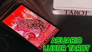 ACUARIO🍾 ENERGÍA ALTA A DOC A TUS ALTAS EXPECTATIVAS, QUE LOGRARÁS EN ESTE MES FEBRERO🩷2026💖✨🧿🍀❤️‍🔥🔮