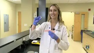 Acetaminophen Suppositories