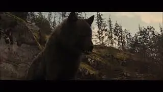 Twilight wolves ~ Power