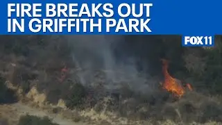 Griffith Park fire quickly knocked down