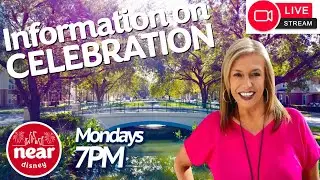 Halloween in Celebration Florida: Dog Costume Contest, Market Updates & Local Happenings