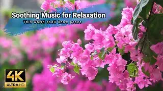 Flowers Day Special, Relaxing Music with Beautiful Flowers, Butterfly, Honey Bee, 4K Flowers Nature