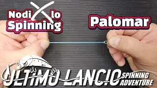 Nodo Palomar 