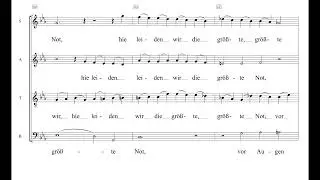O Heiland rei&szlig; die Himmel auf Brahms Einstudierung Sopran