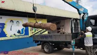 Thi vận hành xe cẩu tháng 2025 (Nguyễn Thành Trung)