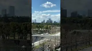 Explore Tokyo | Travel Vlog