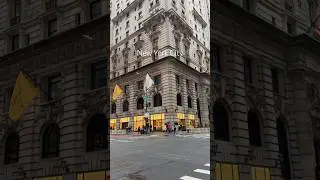Manhattan View, New York City , USA 🇺🇸🗽🏙️ #nyclife #nycvlog #nyc #America  #newyork #usashorts