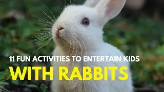 11 Fun RABBIT Activities for Children | Adorable Inhabitants | M & A - The Animal Empire