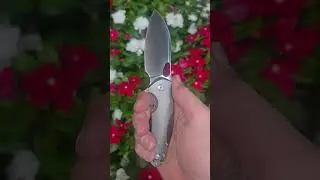 Giant Mouse Ace Biblio XL Magnacut #edc #knifelife #knifecommunity #blade #edccarry #knifereview
