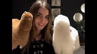 ASMR - MI EXPERIENCIA EN PERÚ