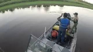 Deshka River Alaska Pike