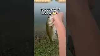 Bass are FRIENDS not Food!😭 #jesus #bassfishing #fishing #bigbass #floridafishing #shortsviral