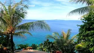 diving Bohol Philippines &ndash; sunset dive resort &ndash; part 1