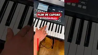 Florida de Capomo - El Coyote Music #musicaparabailar#entretenimiento #piano#teclados #music