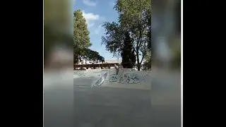Salvador Santos/Skate/Torres Vedras