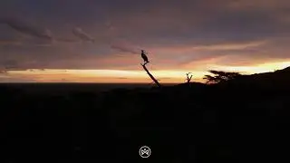 Cinematic Serengeti Aerial Showreel 4K - DJI Air 3 (2024)