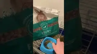 Supreme Science Selective pour lapin - Zoomalia