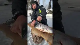Fishing #fishing #cooking #survival #carpfishing #food