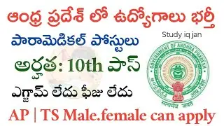 AP Medical Services Recruitment Board Notification 2026 | APMSRB Jobs Recruitment 2026 | AP Jobs