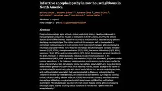 15. Infarctive encephalopathy in zoo-housed gibbons in North America