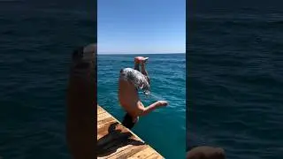 Ныряйте правильно! #diving #pools #fail