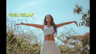 Relaxation Music - Music for Calm. Meditation, Yoga, Zen, Sleep24/7, and Relaxation Mind.