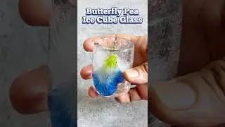Part 1 - How to make Ice tray with Butterfly Pea Flower🧊 #shorts #flower  #asmr #aesthetic