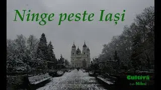 Ninge peste Iași