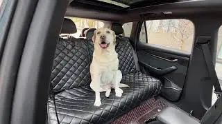 Tesla Dog Seat Covers Model Y/3 2017 2025 Fits Model Y Juniper 2026 Model 3 Highland
