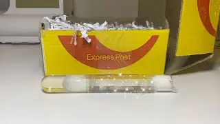 Unboxing My Dream Species || Anna's Antics