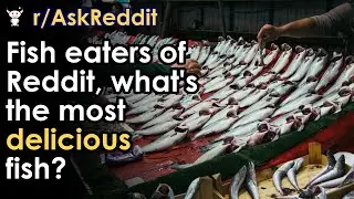 Fish eaters of Reddit, what's the most delicious fish? #Shorts