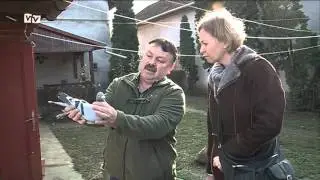 Második helyezést ért el a vásárhelyi sportgalambász