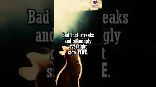 What Are The 9 Divine Protection Signs You're Missing? #shortvideo