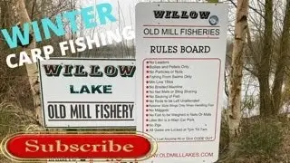 Winter carp fishing on willow lake @OLDMILLLAKES #old mill lakes #winter carp fishing
