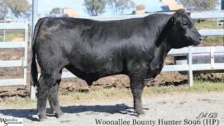 Lot 63 Woonallee Bounty Hunter S096 HP
